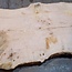 Esche Maser Tischplatte, ca. 2600 x 1000/1000/780 x 40-48 mm, 13515
