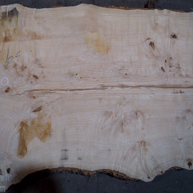 Esche Maser Tischplatte, ca. 2600 x 1000/1000/780 x 40-48 mm, 13515