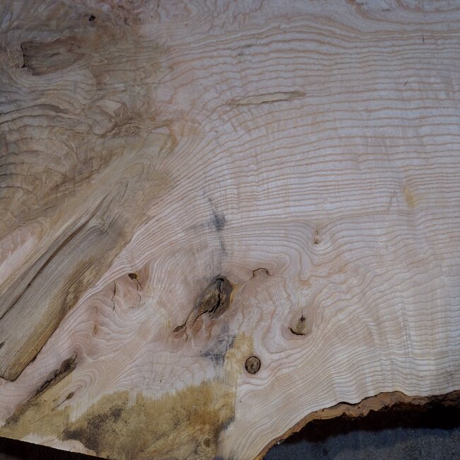 Esche Maser Tischplatte, ca. 2600 x 1000/1000/780 x 40-48 mm, 13515