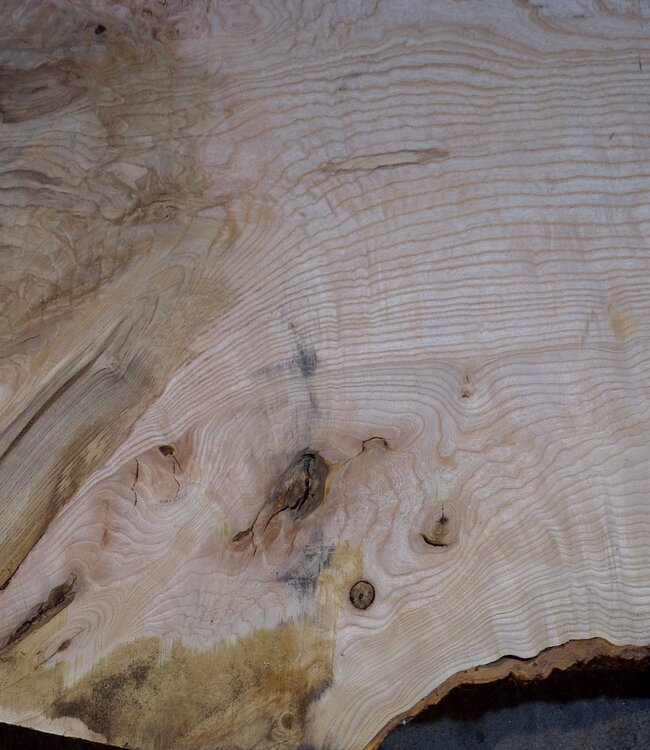 Esche Maser Tischplatte, ca. 2600 x 1000/1000/780 x 40-48 mm, 13515