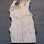 Ash burl table top, approx. 2600 x 1000/1000/780 x 40-48 mm, 13515