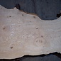 Ash burl table top, approx. 2600 x 990/810/550 x 40-48 mm, 13516