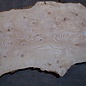 Ash burl table top, approx. 2600 x 990/810/550 x 40-48 mm, 13516