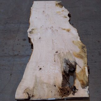 Ash burl table top, approx. 2600 x 1000/980/720 x 40-48 mm, 13517
