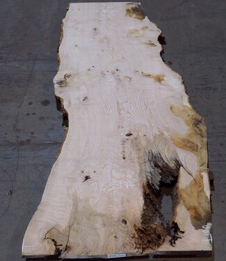 Ash burl table top, approx. 2600 x 1000/980/720 x 40-48 mm, 13517