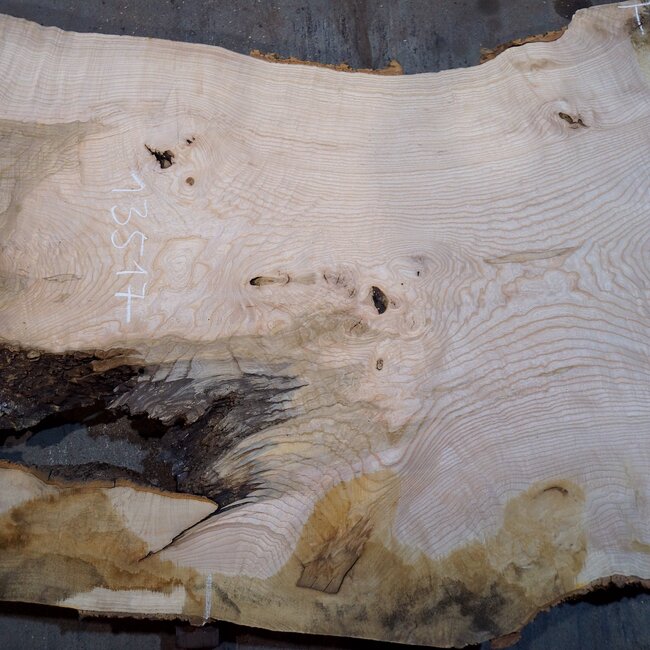 Ash burl table top, approx. 2600 x 1000/980/720 x 40-48 mm, 13517