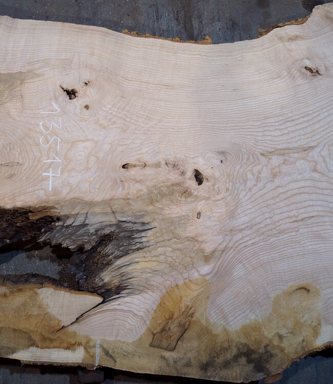 Esche Maser Tischplatte, ca. 2600 x 1000/980/720 x 40-48 mm, 13517