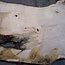 Ash burl table top, approx. 2600 x 1000/980/720 x 40-48 mm, 13517