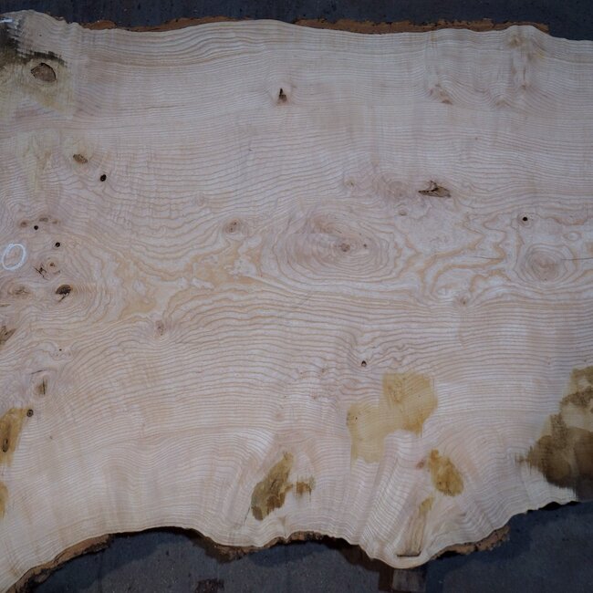 Esche Maser Tischplatte, ca. 2600 x 1000/980/720 x 40-48 mm, 13517