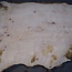 Ash burl table top, approx. 2600 x 1000/980/720 x 40-48 mm, 13517