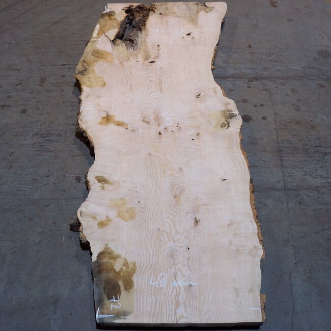 Ash burl table top, approx. 2600 x 1000/980/720 x 40-48 mm, 13517