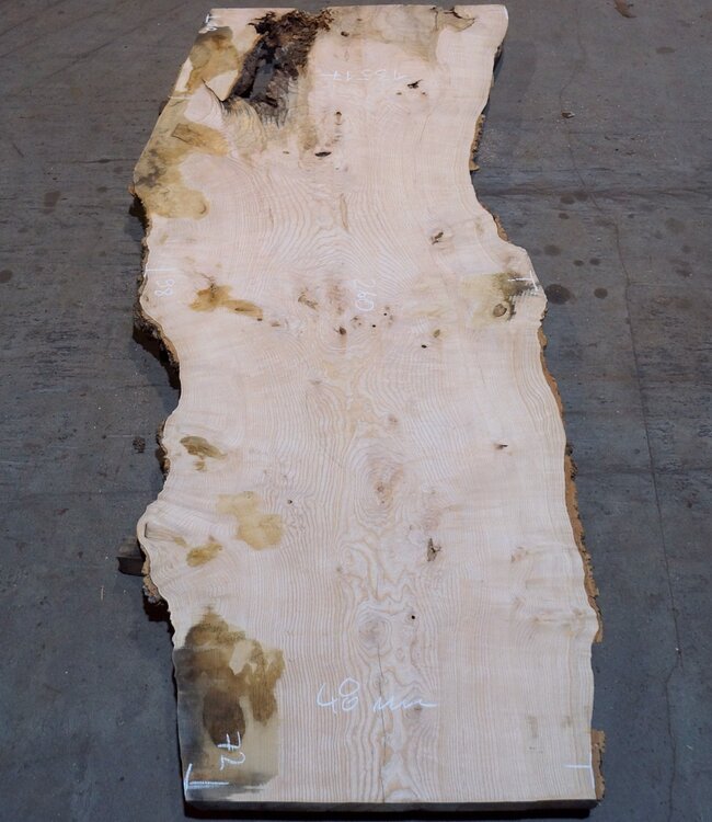 Esche Maser Tischplatte, ca. 2600 x 1000/980/720 x 40-48 mm, 13517