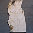 Ash burl table top, approx. 2600 x 1000/980/720 x 40-48 mm, 13517