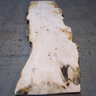 Ash burl table top, approx. 2600 x 990/990/680 x 40-48 mm, 13518
