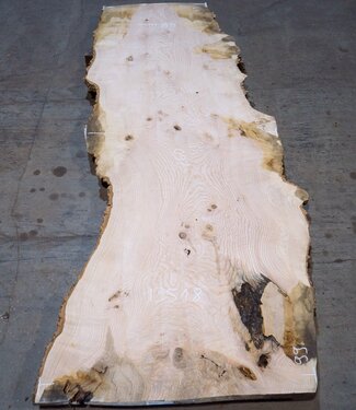 Ash burl table top, approx. 2600 x 990/990/680 x 40-48 mm, 13518