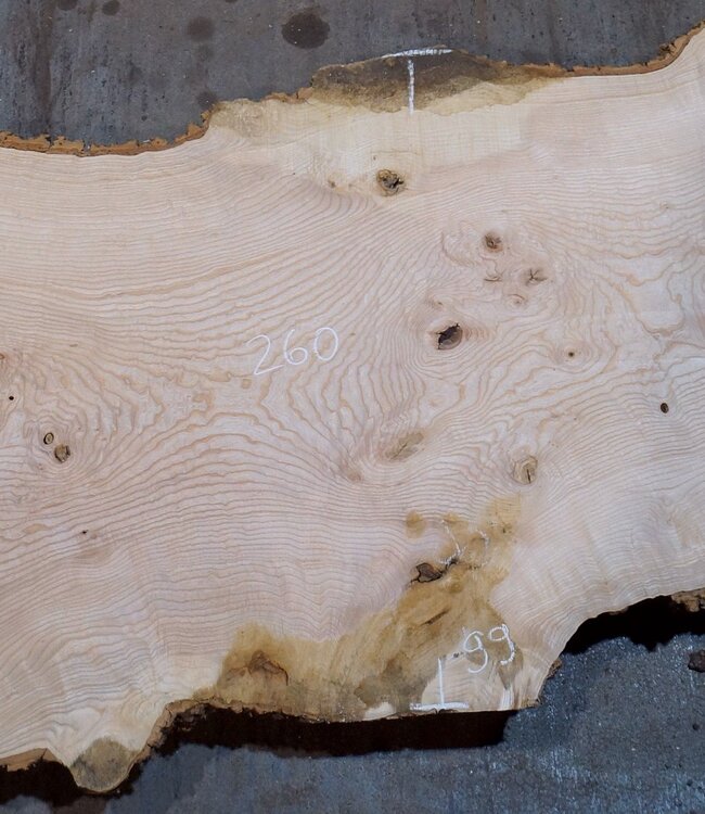 Esche Maser Tischplatte, ca. 2600 x 990/990/680 x 40-48 mm, 13518