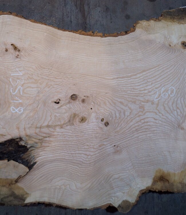 Esche Maser Tischplatte, ca. 2600 x 990/990/680 x 40-48 mm, 13518