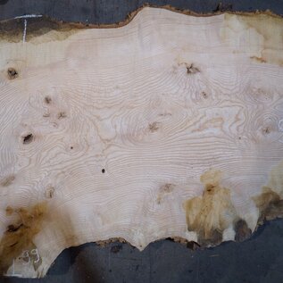 Ash burl table top, approx. 2600 x 990/990/680 x 40-48 mm, 13518