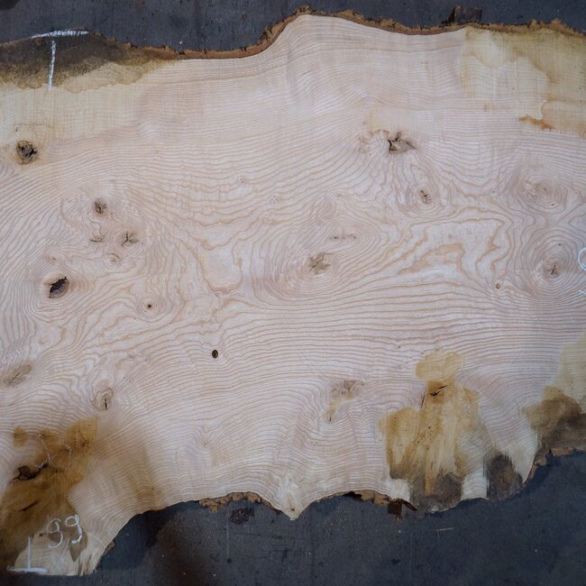 Ash burl table top, approx. 2600 x 990/990/680 x 40-48 mm, 13518