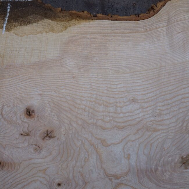 Esche Maser Tischplatte, ca. 2600 x 990/990/680 x 40-48 mm, 13518