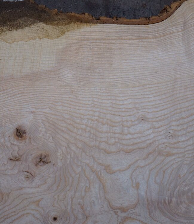Esche Maser Tischplatte, ca. 2600 x 990/990/680 x 40-48 mm, 13518
