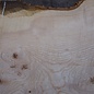 Ash burl table top, approx. 2600 x 990/990/680 x 40-48 mm, 13518