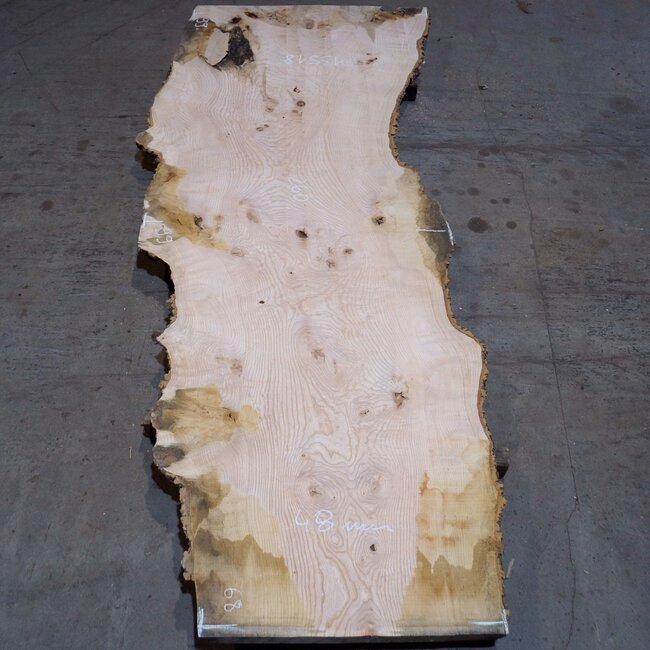 Esche Maser Tischplatte, ca. 2600 x 990/990/680 x 40-48 mm, 13518