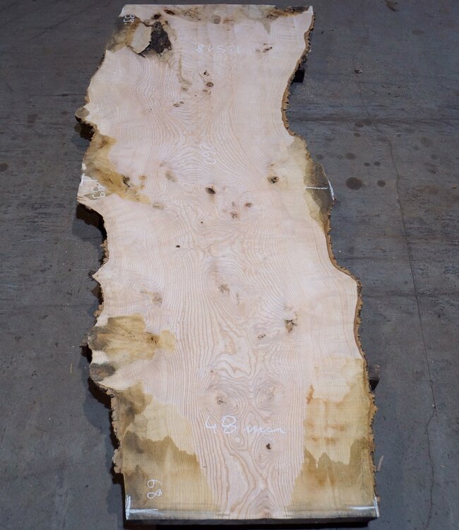 Esche Maser Tischplatte, ca. 2600 x 990/990/680 x 40-48 mm, 13518