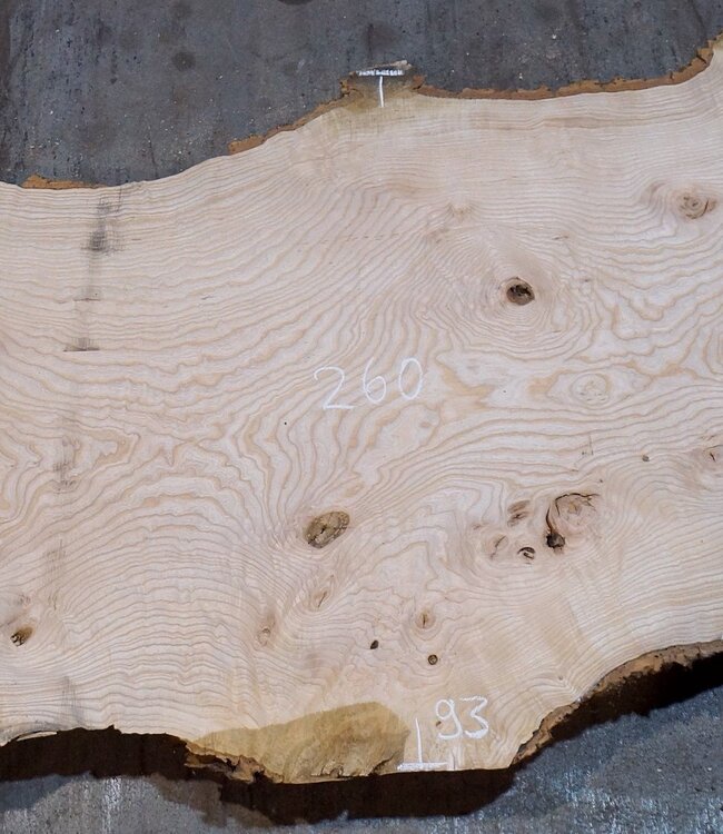 Esche Maser Tischplatte, ca. 2600 x 990/930/640 x 40-48 mm, 13519