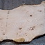 Ash burl table top, approx. 2600 x 990/930/640 x 40-48 mm, 13519