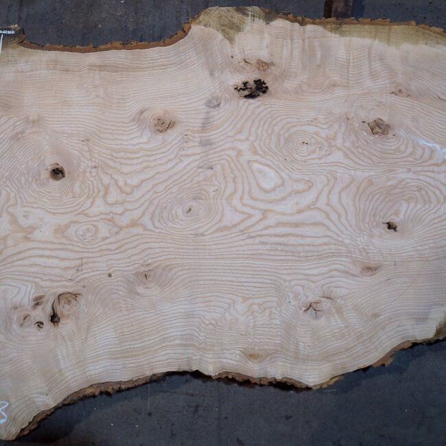 Ash burl table top, approx. 2600 x 990/930/640 x 40-48 mm, 13519