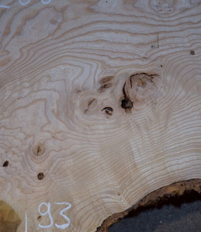 Esche Maser Tischplatte, ca. 2600 x 990/930/640 x 40-48 mm, 13519