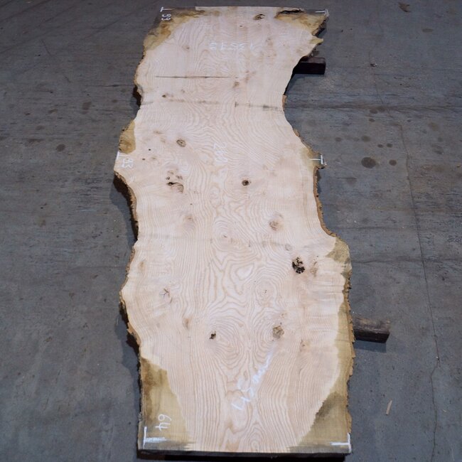 Ash burl table top, approx. 2600 x 990/930/640 x 40-48 mm, 13519