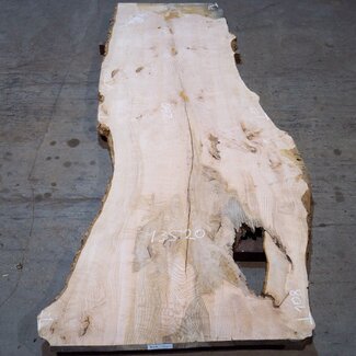 Ash burl table top, approx. 2600 x 1080/950/740 x 40-48 mm, 13520