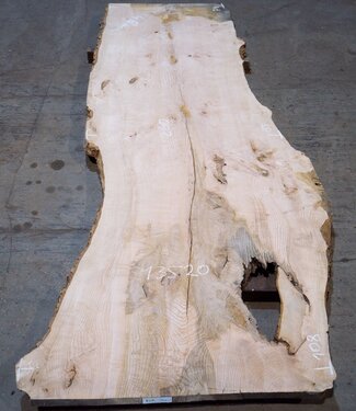 Esche Maser Tischplatte, ca. 2600 x 1080/950/740 x 40-48 mm, 13520