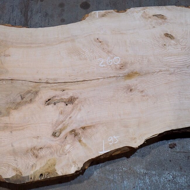 Ash burl table top, approx. 2600 x 1080/950/740 x 40-48 mm, 13520
