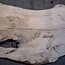 Ash burl table top, approx. 2600 x 1080/950/740 x 40-48 mm, 13520