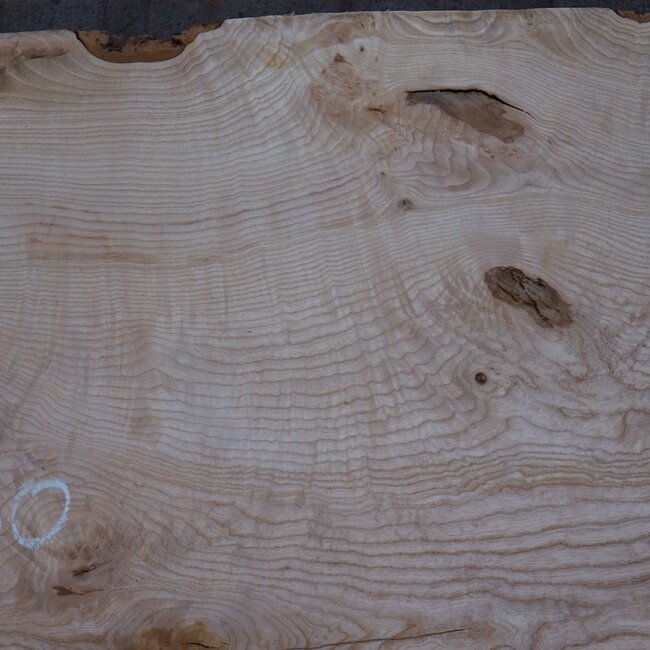 Ash burl table top, approx. 2600 x 1080/950/740 x 40-48 mm, 13520