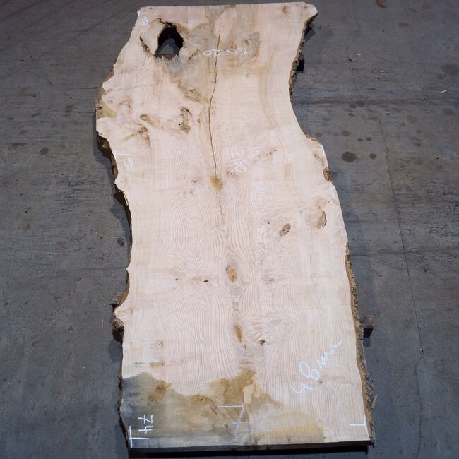 Ash burl table top, approx. 2600 x 1080/950/740 x 40-48 mm, 13520
