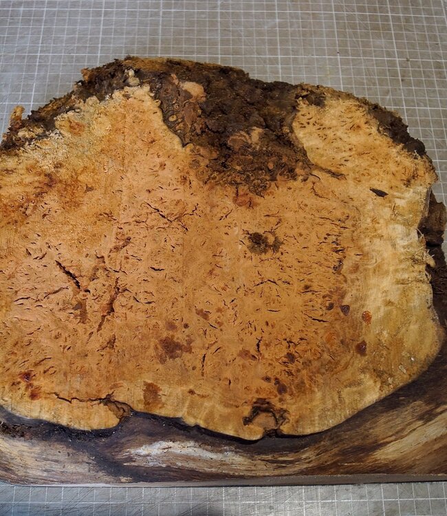 Grisard, approx. 310 x 300 x 40-70 mm, 3,34 kg