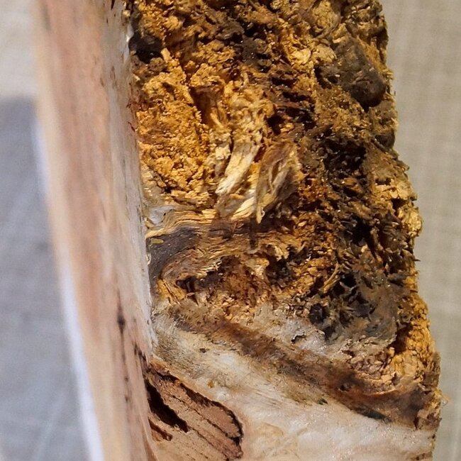 Grisard, approx. 310 x 300 x 40-70 mm, 3,34 kg