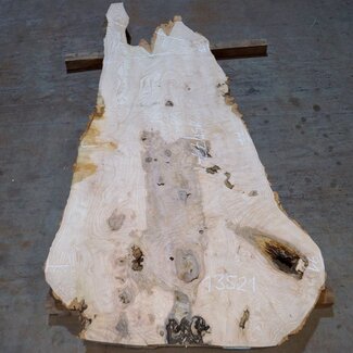 Esche Maser Tischplatte, ca. 1500 x 770/910/580 x 52 mm, 13521