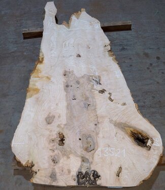 Ash Burl table top, approx. 1500 x 770/910/580 x 52 mm, 13521