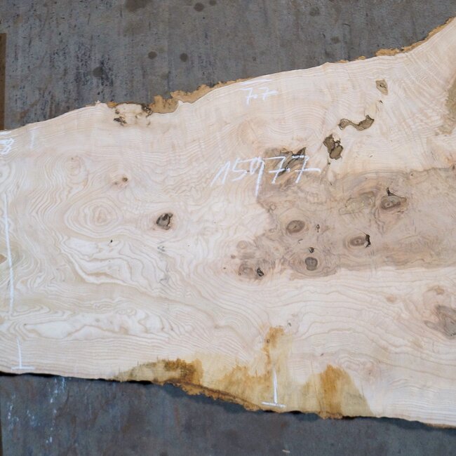Ash Burl table top, approx. 1500 x 770/910/580 x 52 mm, 13521
