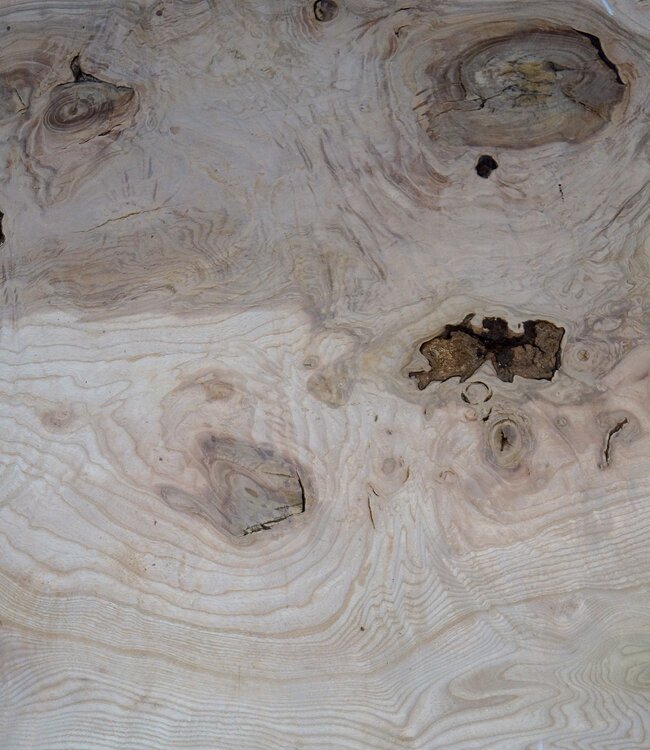 Esche Maser Tischplatte, ca. 1500 x 770/910/580 x 52 mm, 13521