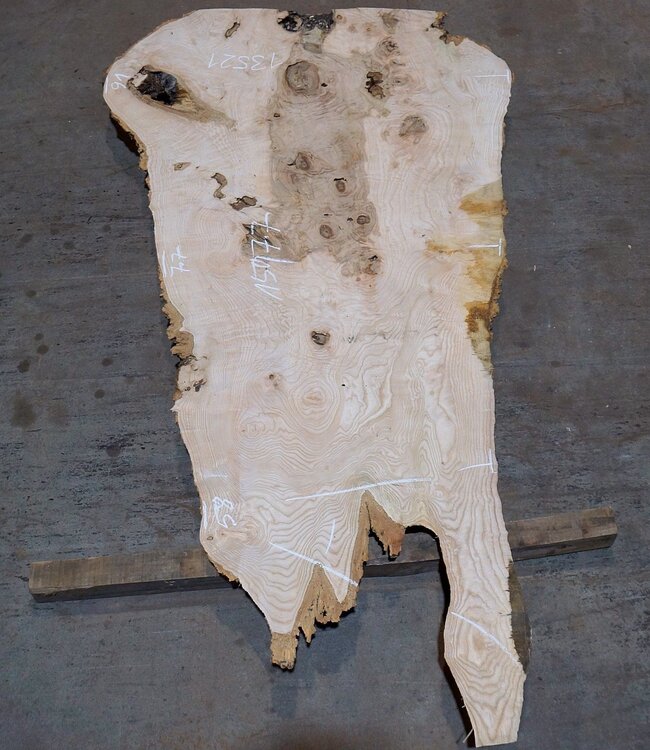 Esche Maser Tischplatte, ca. 1500 x 770/910/580 x 52 mm, 13521