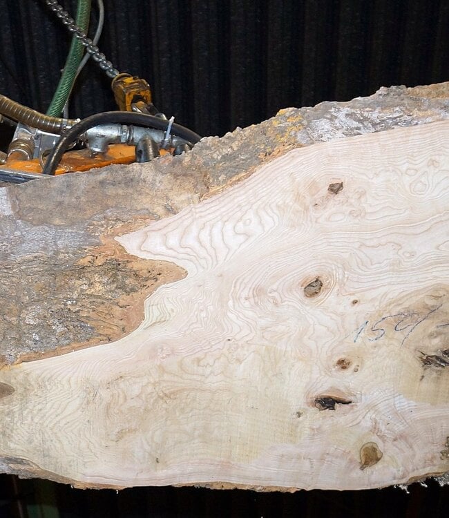 Esche Maser Tischplatte, ca. 1500 x 770/910/580 x 52 mm, 13521