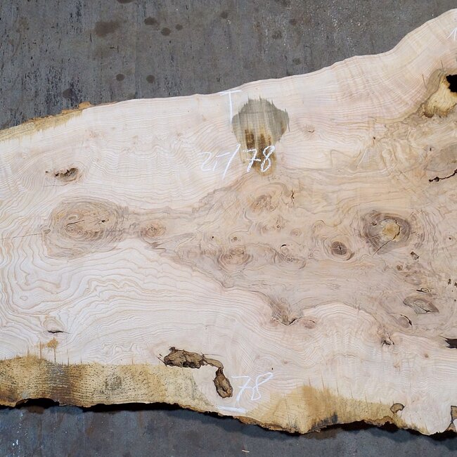 Ash Burl table top, approx. 2000 x 780/560/1190 x 52 mm, 13522