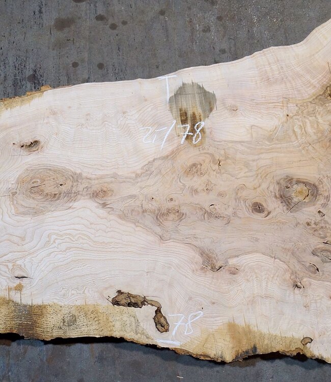 Esche Maser Tischplatte, ca. 2000 x 780/560/1190 x 52 mm, 13522