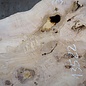 Ash Burl table top, approx. 2000 x 780/560/1190 x 52 mm, 13522